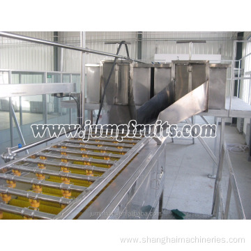 fruit vegetable washer cleaning machine